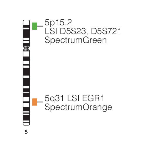 Vysis EGR1 FISH Probe Kit SC Abbott Molecular